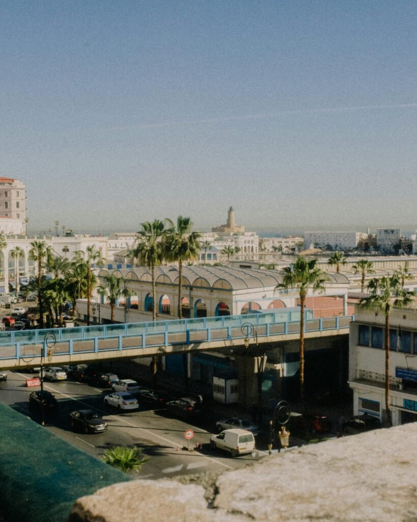 High-angle cityscape showcasing Algiers' urban layout with buildings, palm trees, and vehicles on a sunny day.