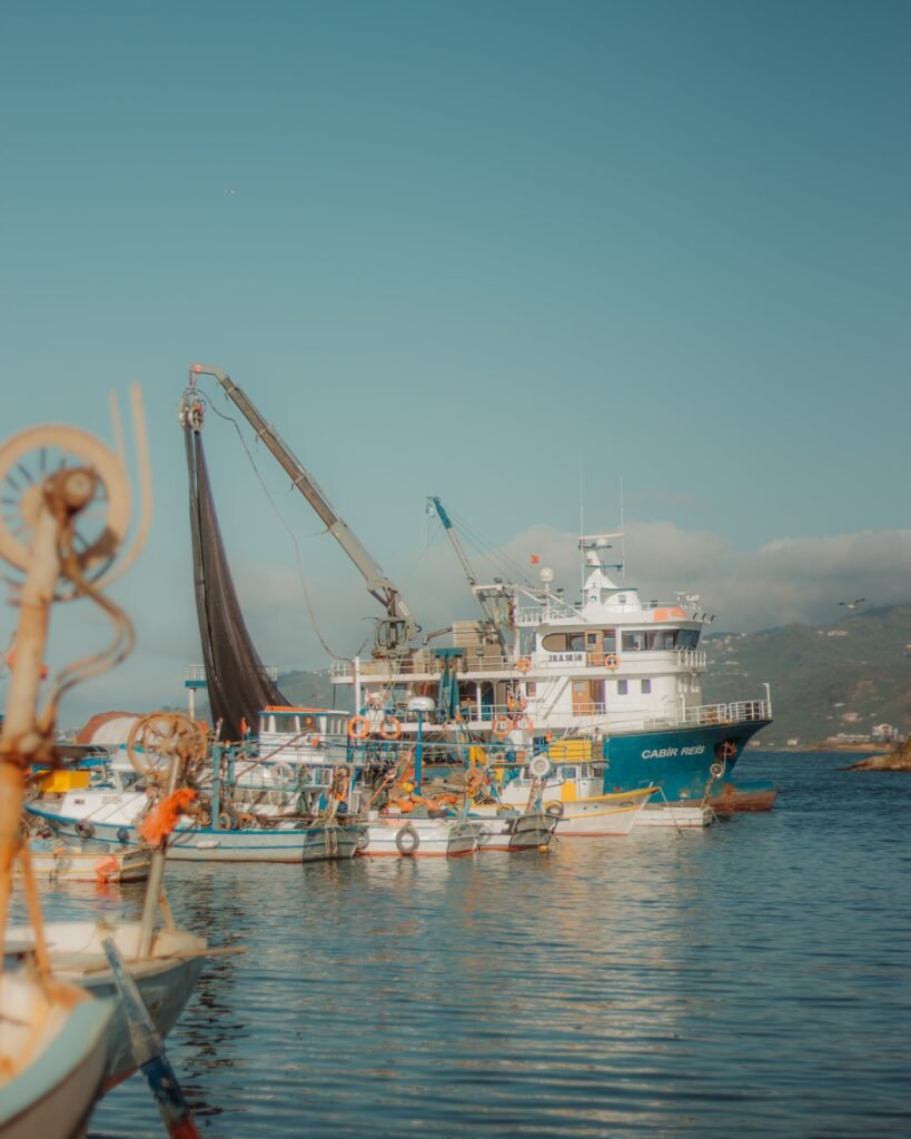 Fishing vessels, nets, and cranes in Tirebolu Harbor, capturing a serene maritime scene in Türkiye.